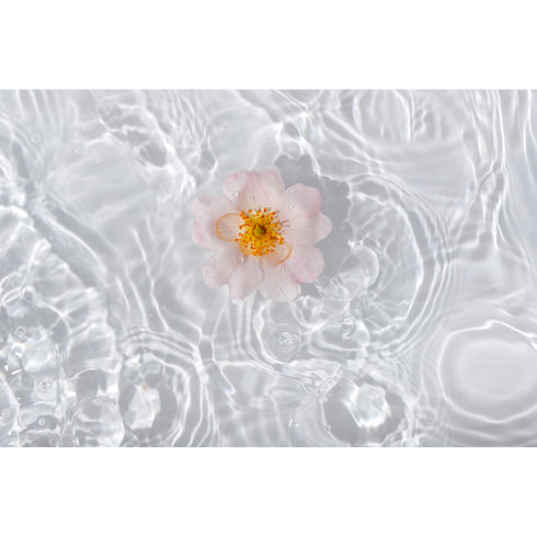 Zao 亮肌淨白爽膚水 Radiance Tonic Lotion